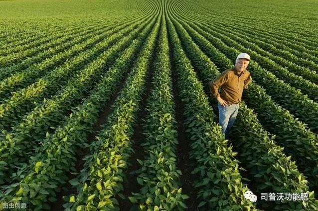 七種不同作物的科學(xué)輪換茬口種植？看了讓你不增產(chǎn)都難！