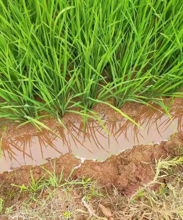 1624601538147166.png c6fd2250c14f8a0c65f80c491f1e7b3.png