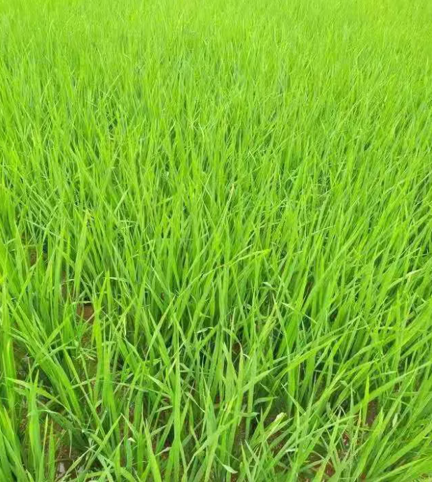 1624601556746963.png 3eabc5298b7859fa7d2443e89fea8fe.png