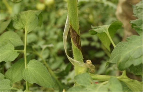 1631066559230268.png image.png