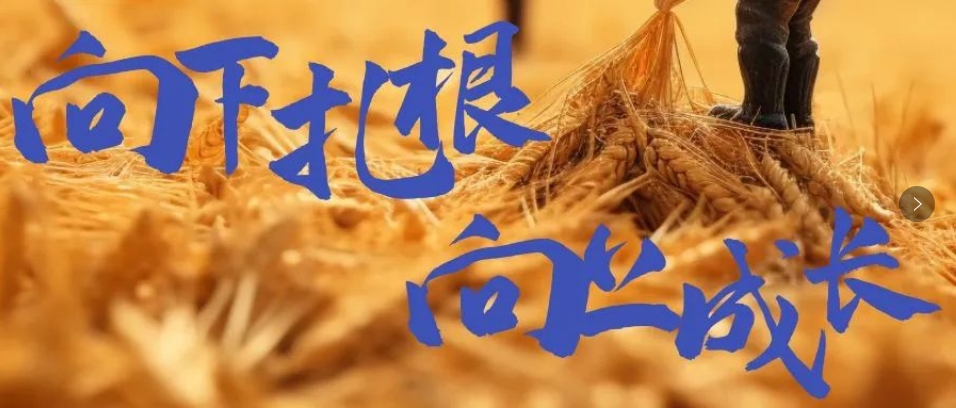 向下扎根，向上成長，司普沃6月市場服務一線效果反饋
