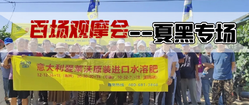 新疆博樂地區夏黑葡萄觀摩會圓滿成功，司普沃功能肥閃耀全場