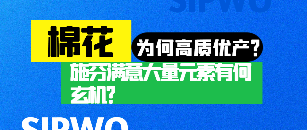 棉花憑啥高產(chǎn)優(yōu)質(zhì)？施芬滿意大量元素有何玄機？